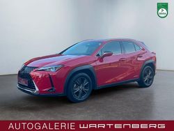 Rot Gebraucht 2019 Lexus UX 250h Launch Edition SUV | 22.980 € (Fairer Preis)