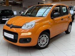 Orange Gebraucht 2019 Fiat Panda Easy Kleinwagen | 9.990 € (Fairer Preis)