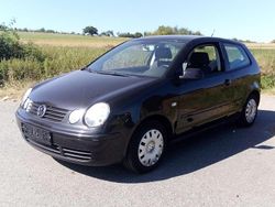 Schwarz Gebraucht 2004 VW Polo Cricket Kleinwagen | 2.200 € (Etwas zu teuer)