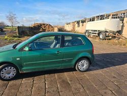 Grün Gebraucht 2004 VW Polo Kleinwagen | 900 €