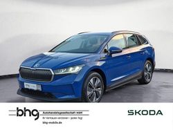 Energyblau Gebraucht 2023 Skoda Enyaq iV SUV | 27.960 € (Guter Preis)