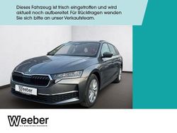 Grau Neu 2026 Skoda Octavia Selection Kombi | 40.299 € (Teuer)
