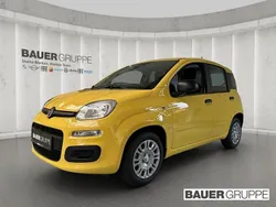 Gelb Neu 2025 Fiat Panda Kleinwagen | 15.700 € (Fairer Preis)