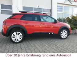 Rot Gebraucht 2019 Citroën C4 Cactus PureTech Kleinwagen | 11.990 € (Fairer Preis)