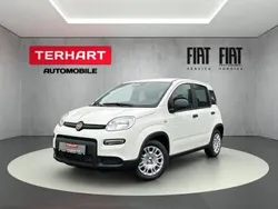 Weiss) (weiss Gebraucht 2024 Fiat Panda Kleinwagen | 15.487 € (Fairer Preis)