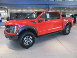 Orange Gebraucht 2023 Ford F-150 Raptor Abholung | 99.850 € (Teuer)
