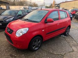 Rot Gebraucht 2011 Kia Picanto Vision Kleinwagen | 2.290 € (Etwas zu teuer)