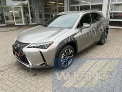Grau Gebraucht 2023 Lexus UX 250h SUV | 39.980 €