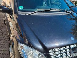 Schwarz Gebraucht 2009 Mercedes Viano Van / Kleinbus | 16.350 € (Teuer)