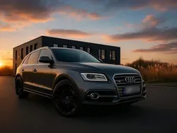 Grau Gebraucht 2016 Audi SQ5 Competition SUV | 21.999 € (Fairer Preis)