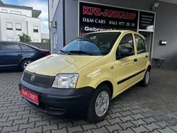 Gelb Gebraucht 2009 Fiat Panda Active Kleinwagen | 3.100 € (Fairer Preis)
