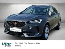 Grau Gebraucht 2023 Cupra Formentor SUV | 24.380 € (Fairer Preis)