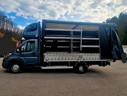 Grau Gebraucht 2017 Fiat Ducato Van | 12.000 €