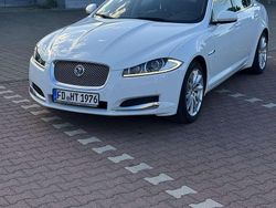 Weiß Gebraucht 2014 Jaguar XF Limousine | 14.000 € (Teuer)