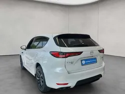 Weiß Neu 2025 Mazda CX-60 Homura-Line SUV | 67.350 €
