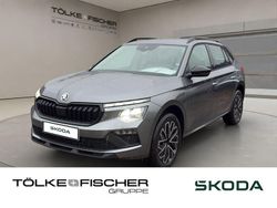 Grau Neu 2026 Skoda Kamiq Tour SUV | 26.889 € (Etwas zu teuer)