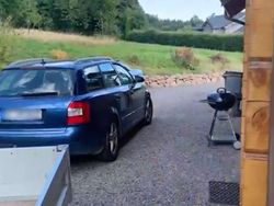 Gebraucht 2002 Audi A4 S-Line Kombi | 650 € (Superpreis)