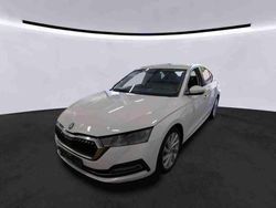 Candyweiss Gebraucht 2023 Skoda Octavia Limousine | 33.988 € (Teuer)