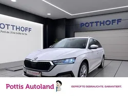 Weiss Gebraucht 2023 Skoda Octavia Style Kombi | 21.977 € (Guter Preis)
