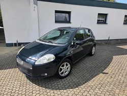 Blau Gebraucht 2009 Fiat Punto Kleinwagen | 1.750 € (Fairer Preis)