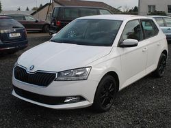 Weiß Gebraucht 2020 Skoda Fabia Ambition Kleinwagen | 10.890 € (Guter Preis)