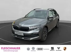 Grau Neu 2025 Skoda Kamiq Tour SUV | 31.490 €