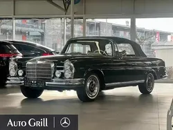 Dunkelolivgrün Gebraucht 1970 Mercedes 280 SE Cabrio | 285.000 €