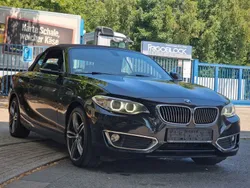 Schwarz Gebraucht 2015 BMW 220 Luxury Line Cabrio | 14.990 € (Guter Preis)