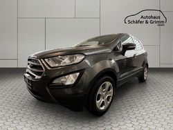 Grau Gebraucht 2018 Ford Ecosport Trend SUV | 11.799 € (Fairer Preis)