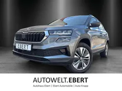 Graphitegrau Gebraucht 2024 Skoda Karoq Selection SUV | 38.980 € (Etwas zu teuer)