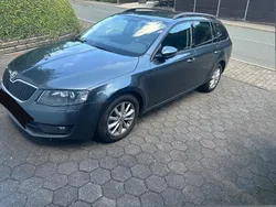 Grau Gebraucht 2016 Skoda Octavia Kombi | 9.200 € (Fairer Preis)