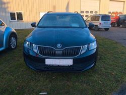 Blau Gebraucht 2018 Skoda Octavia Kombi | 11.990 € (Superpreis)