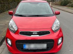 Rot Gebraucht 2016 Kia Picanto Kleinwagen | 4.800 €
