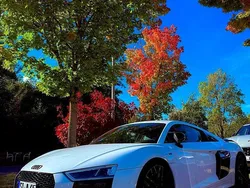 Weiß Gebraucht 2016 Audi R8 Coupé Design Coupé | 145.000 €