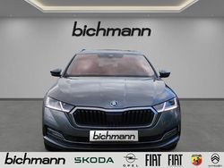 Grau Gebraucht 2024 Skoda Octavia Style Kombi | 32.990 € (Teuer)