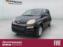 Schwarz Neu 2025 Fiat Panda Pop Limousine | 14.990 € (Fairer Preis)
