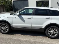 Weiß Gebraucht 2014 Land Rover Range Rover evoque SUV | 9.999 € (Fairer Preis)
