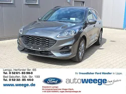 Grau Gebraucht 2021 Ford Kuga ST-Line X SUV | 18.290 € (Guter Preis)