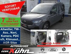 Comet grey Neu 2025 Ford Transit Active Van / Kleinbus | 37.390 € (Fairer Preis)