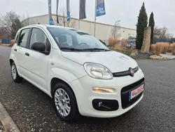 Weiß Gebraucht 2015 Fiat Panda Easy Kleinwagen | 5.850 € (Fairer Preis)