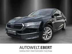 Schwarzmagic perleffekt Gebraucht 2024 Skoda Octavia Selection Kombi | 31.690 € (Fairer Preis)