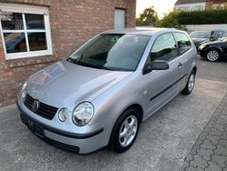 Reflexsilber (metallic) Gebraucht 2004 VW Polo Kleinwagen | 3.250 € (Teuer)