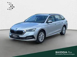 Silber Gebraucht 2023 Skoda Octavia Ambition Kombi | 24.930 € (Superpreis)