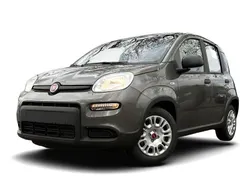 Grau Gebraucht 2023 Fiat Panda Kleinwagen | 17.313 €