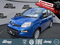 Blau Gebraucht 2024 Fiat Grande Panda Kleinwagen | 14.490 € (Fairer Preis)