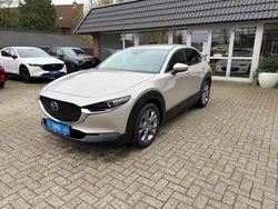 Neu 2024 Mazda CX-30 Exclusive-Line SUV | 32.990 €