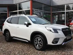 Weiß Gebraucht 2023 Subaru Forester Comfort SUV | 31.900 € (Fairer Preis)