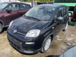 Schwarz Neu 2024 Fiat Panda Kleinwagen | 15.990 €