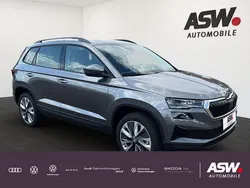 Grau Gebraucht 2025 Skoda Karoq Selection SUV | 41.945 € (Teuer)