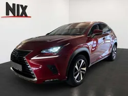 Rot Gebraucht 2020 Lexus NX300h Luxury Line SUV | 33.490 € (Etwas zu teuer)
